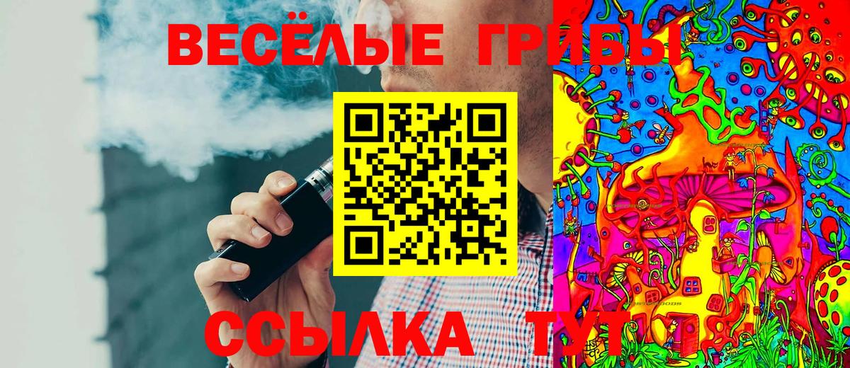 Курчатов  Галлюциногенные грибы мицелий  Псилоцибиновые грибы GOLDEN TEACHER  Вход с VPN 