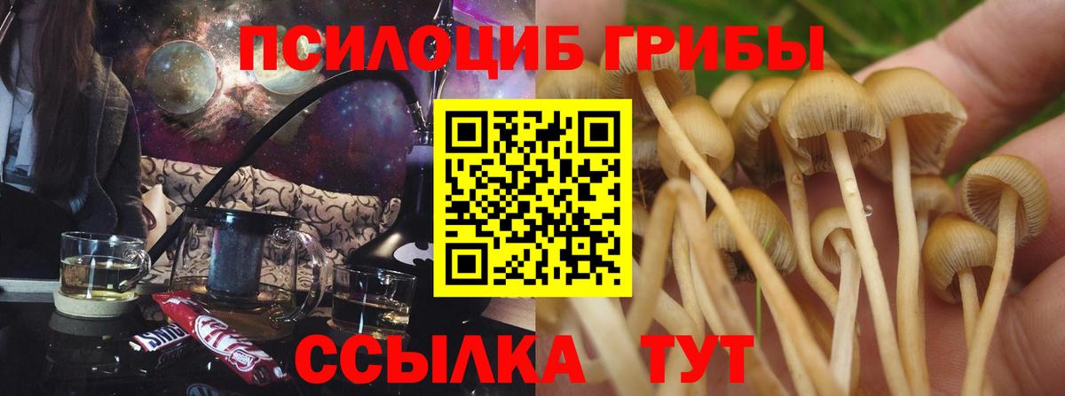 Псилоцибиновые грибы ЛСД Курчатов